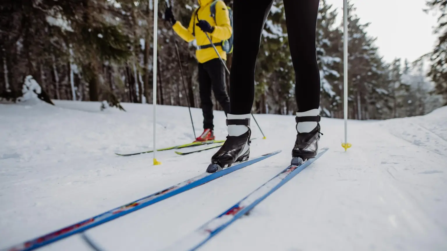 SSTT Skischule Tuxertal Langlaufen Privat Kurs
